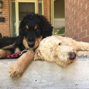 Meet your Posher, Katie